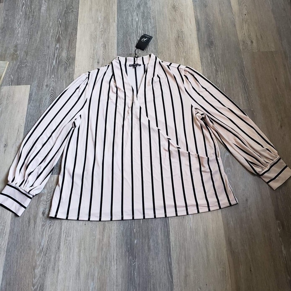 NWT Adrianna Papell Long Sleeve Top.